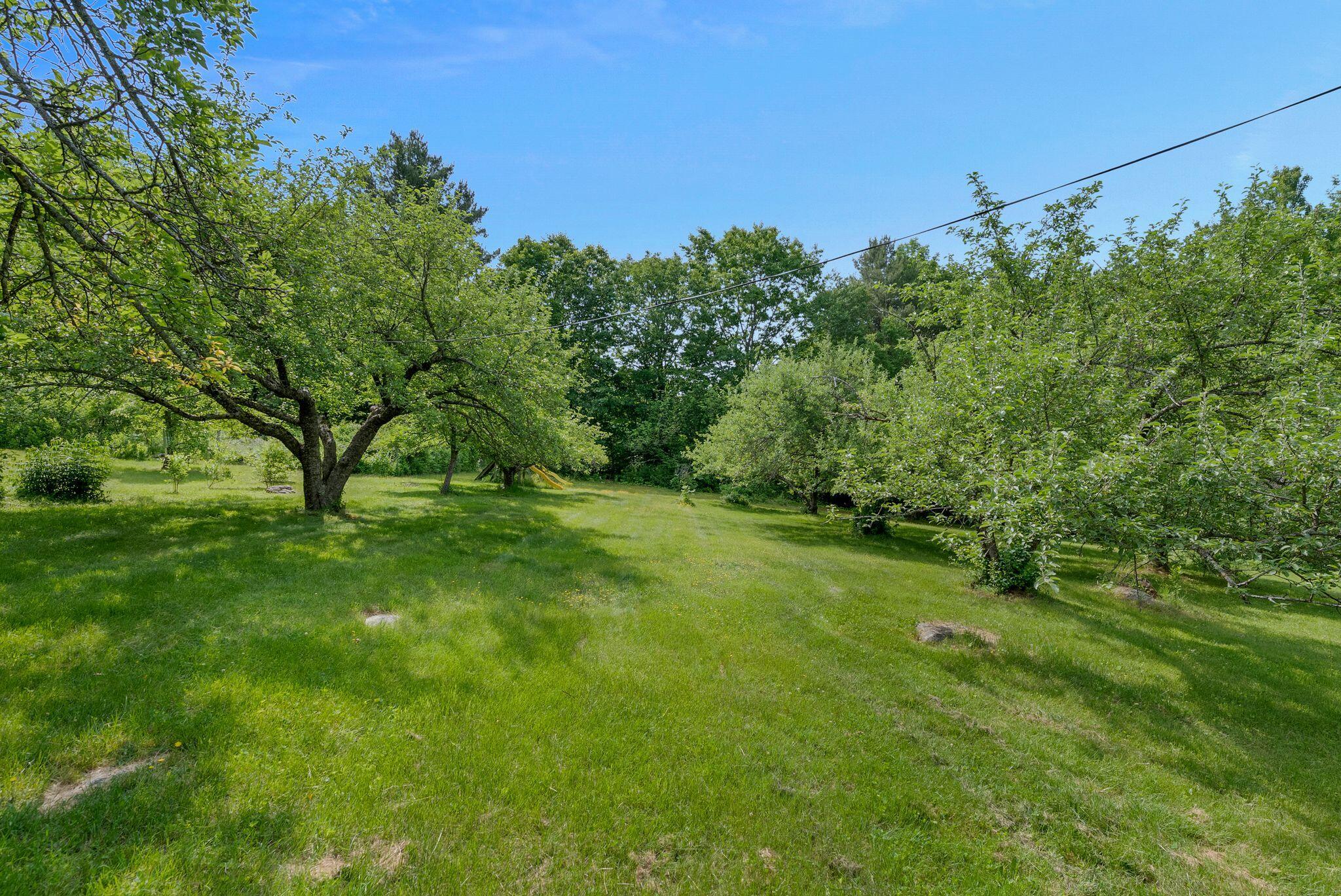 286 Watson Hill Road Limerick, ME 04048 - Photo 10 of 72 9_DSC08499 copy