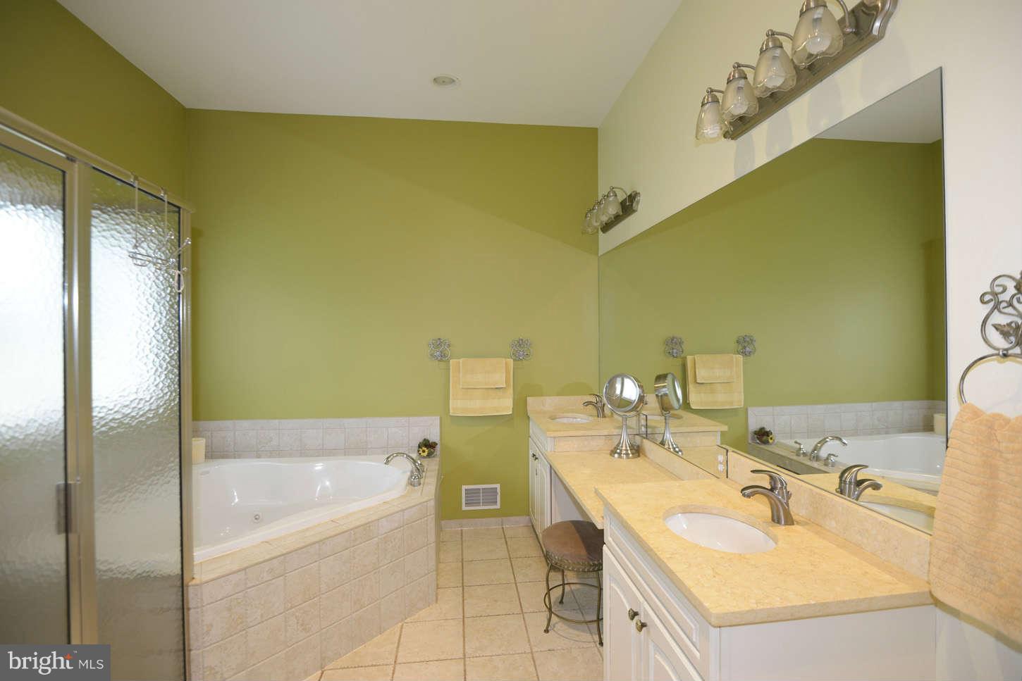 6761 Runkles Road Mount Airy, MD 21771 - Photo 15 of 30 Main Level Master Bathroom