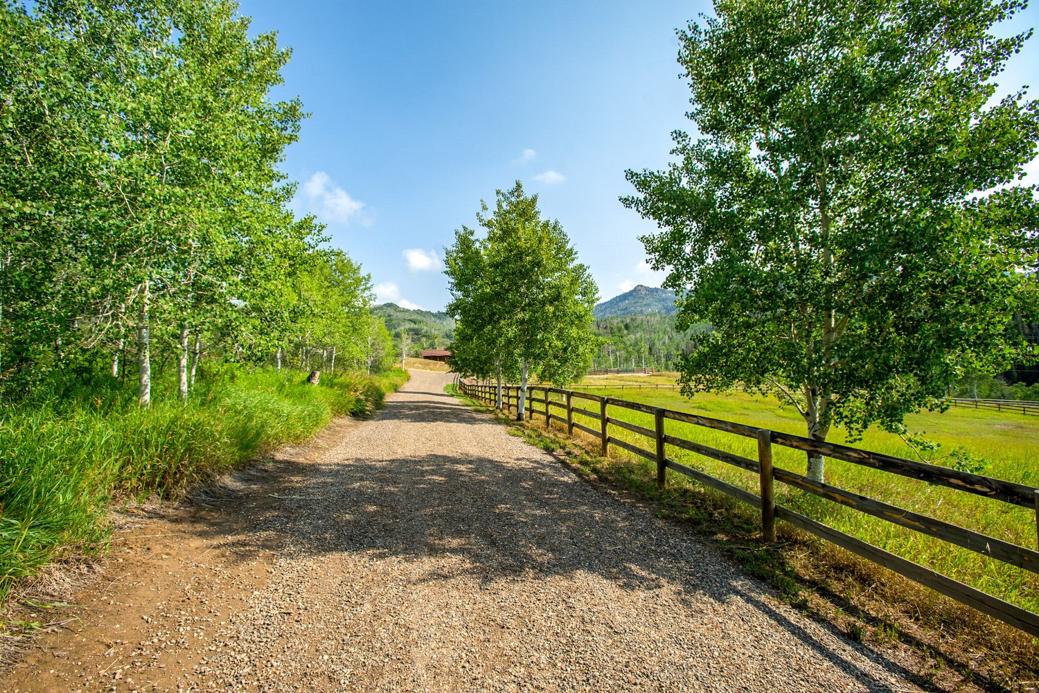31775 Bradley Ranch Steamboat Springs, CO 80487 - Photo 30 of 49 a view of a yard with wooden fence