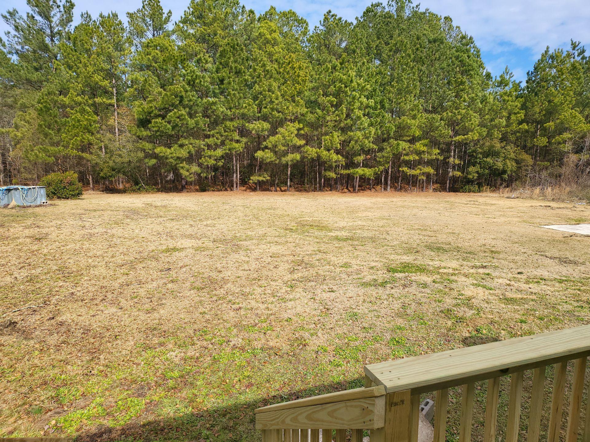 1178 Hard Pinch Road Moncks Corner, SC 29461 - Photo 11 of 11 1178 Backyard