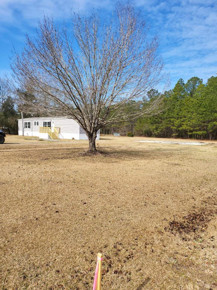 1178 Hard Pinch Road Moncks Corner, SC 29461 - Photo 3 of 11 1178 Side Yard