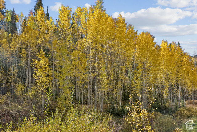 95 Black Diamond Road Helper, UT 84526 - Photo 54 of 78