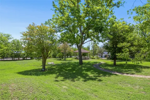 a view of a park with a tree