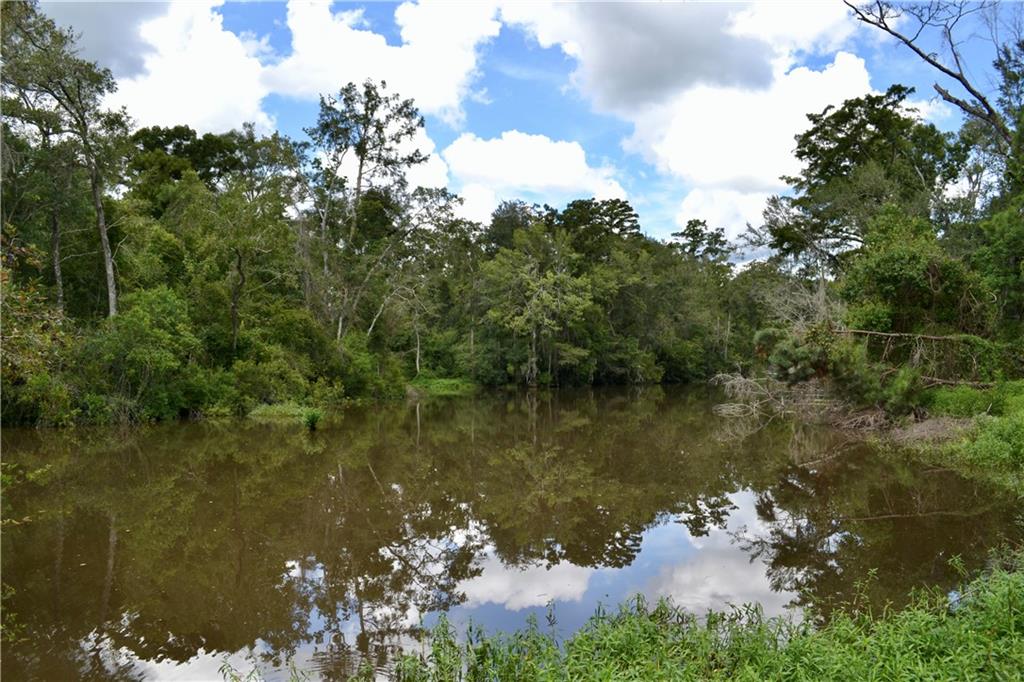 0 Tchefuncte River Covington, LA 70433 - Photo 12 of 40 Gallery Image 12