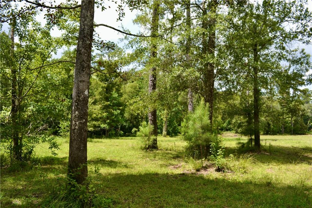 0 Tchefuncte River Covington, LA 70433 - Photo 13 of 40 Gallery Image 13