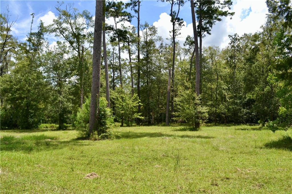 0 Tchefuncte River Covington, LA 70433 - Photo 14 of 40 Gallery Image 14