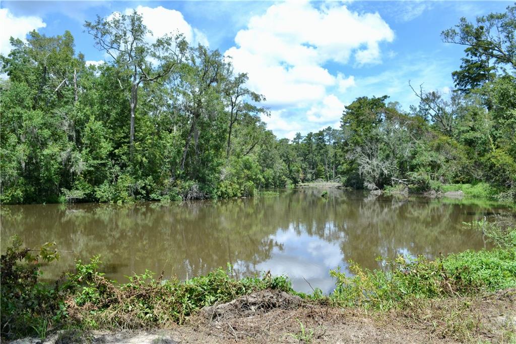 0 Tchefuncte River Covington, LA 70433 - Photo 15 of 40 Gallery Image 15