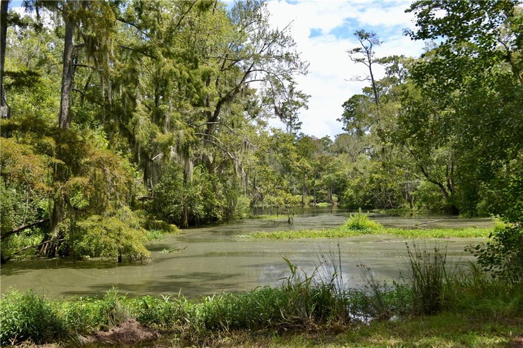 0 Tchefuncte River Covington, LA 70433 - Photo 16 of 40 Gallery Image 16