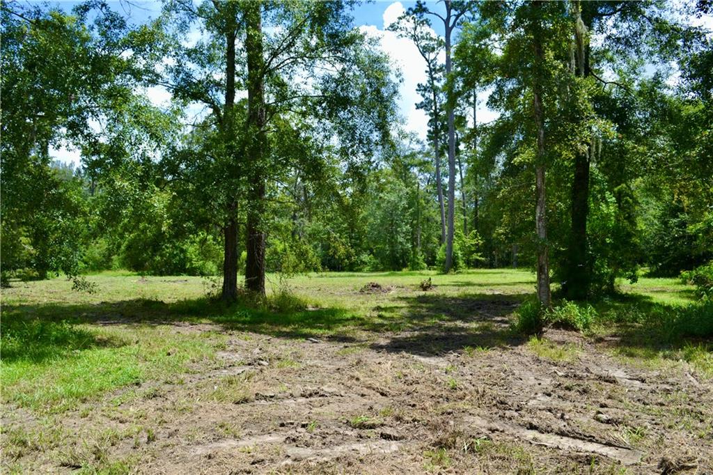 0 Tchefuncte River Covington, LA 70433 - Photo 17 of 40 Gallery Image 17