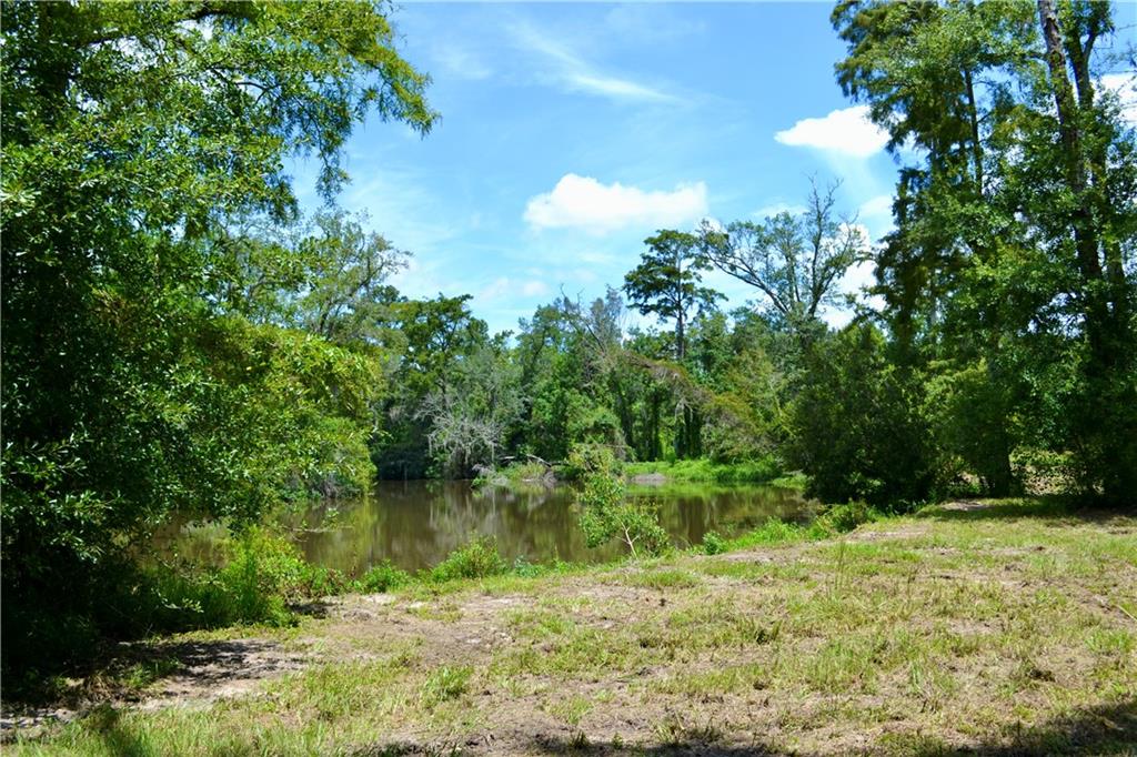 0 Tchefuncte River Covington, LA 70433 - Photo 20 of 40 Gallery Image 20