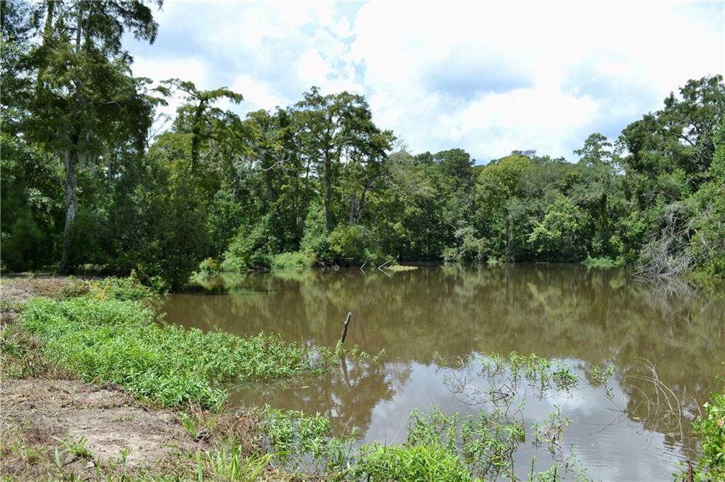 0 Tchefuncte River Covington, LA 70433 - Photo 21 of 40 Gallery Image 21