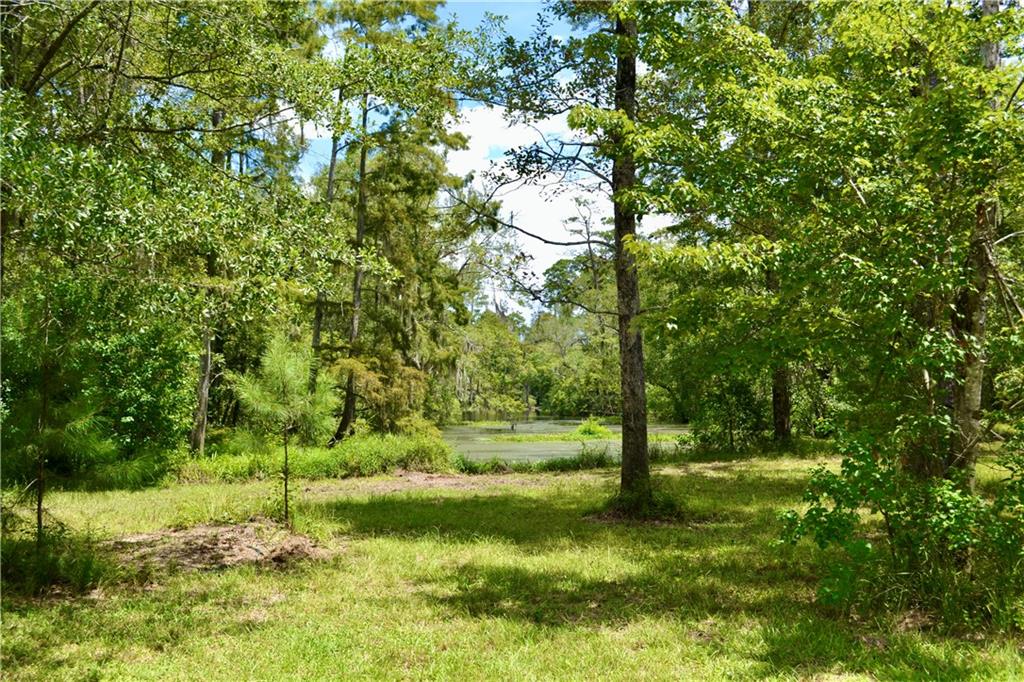 0 Tchefuncte River Covington, LA 70433 - Photo 22 of 40 Gallery Image 22