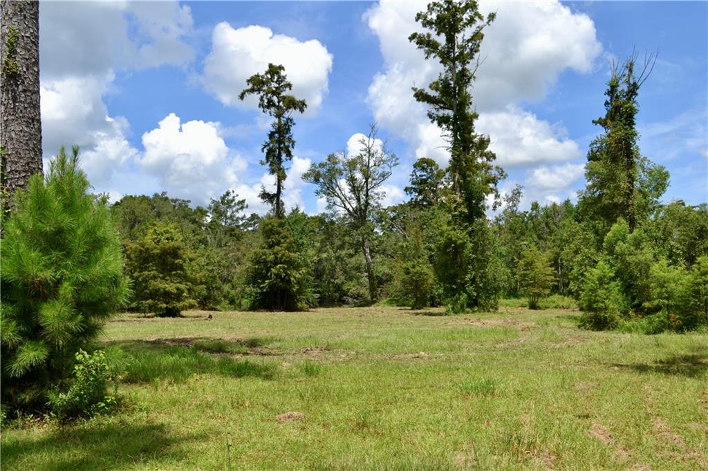 0 Tchefuncte River Covington, LA 70433 - Photo 23 of 40 Gallery Image 23