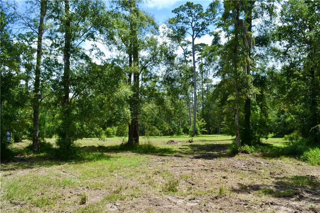0 Tchefuncte River Covington, LA 70433 - Photo 25 of 40 Gallery Image 25