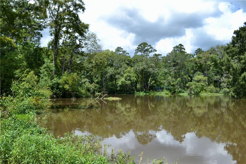 0 Tchefuncte River Covington, LA 70433 - Photo 28 of 40 Gallery Image 28