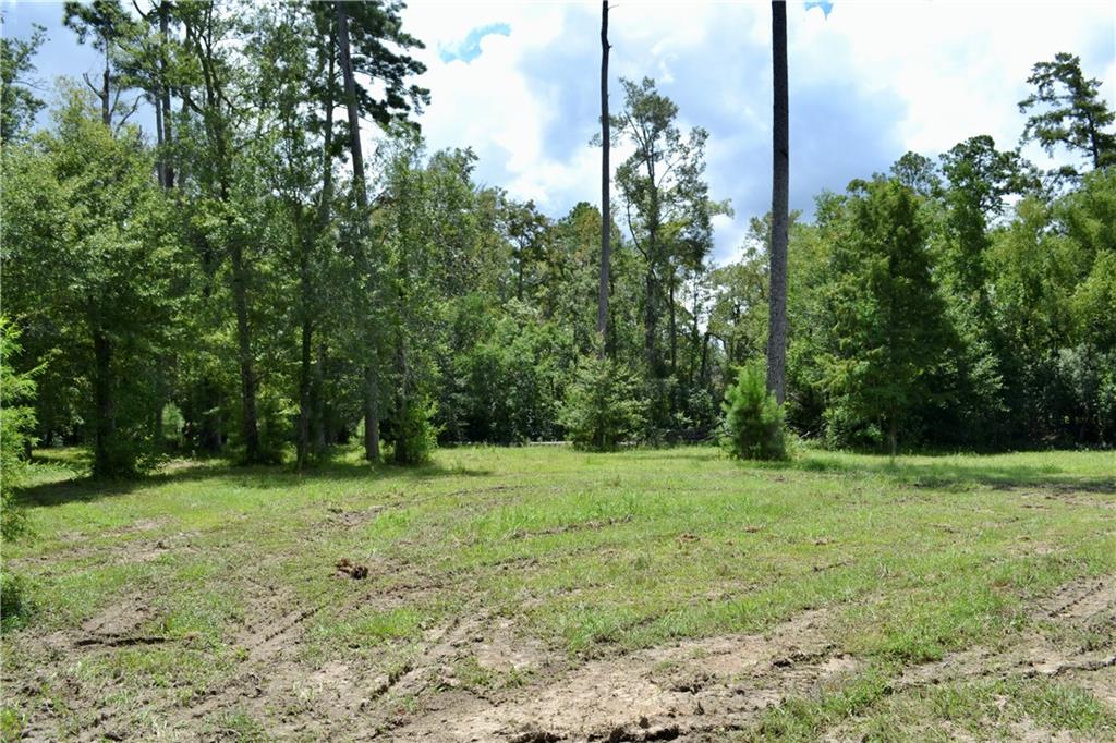 0 Tchefuncte River Covington, LA 70433 - Photo 29 of 40 Gallery Image 29