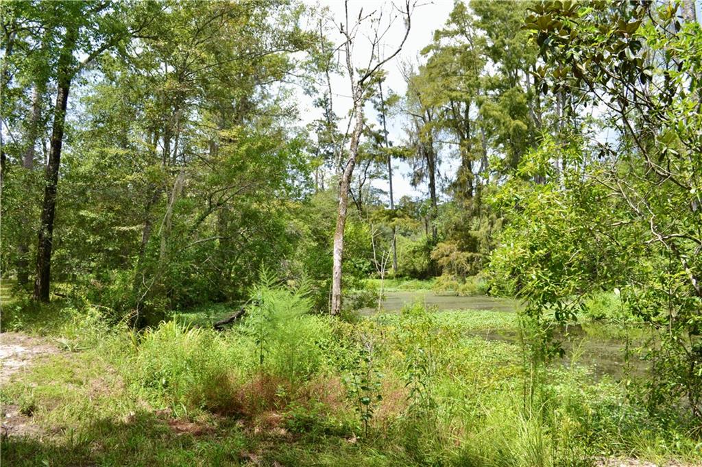 0 Tchefuncte River Covington, LA 70433 - Photo 31 of 40 Gallery Image 31