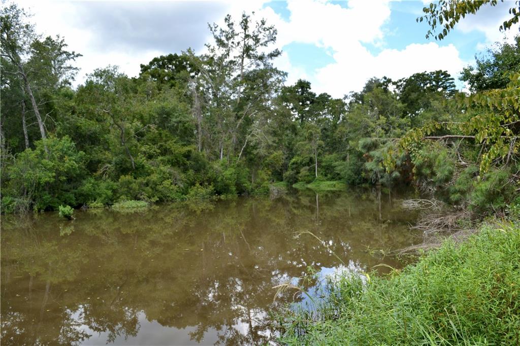 0 Tchefuncte River Covington, LA 70433 - Photo 33 of 40 Gallery Image 33