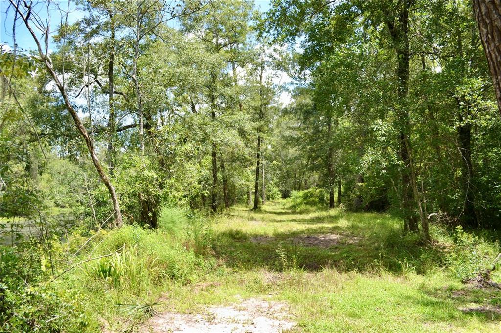 0 Tchefuncte River Covington, LA 70433 - Photo 34 of 40 Gallery Image 34
