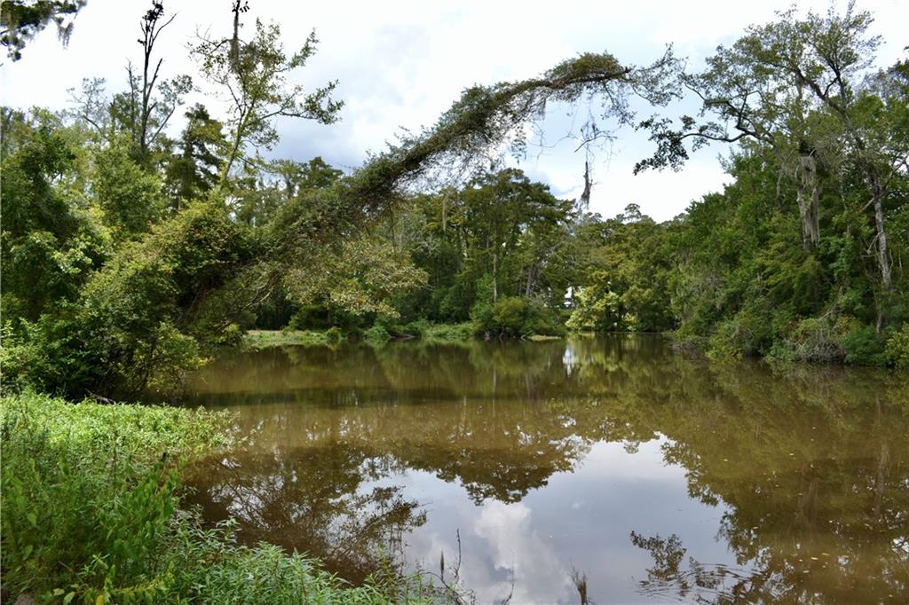 0 Tchefuncte River Covington, LA 70433 - Photo 35 of 40 Gallery Image 35