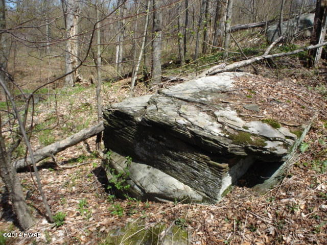 Moody Rd Lake Pleasant Mount, PA 18453 - Photo 7 of 12 Gallery Image 7