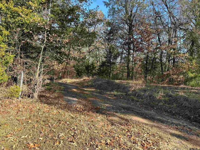 a view of a yard with plants and a bench