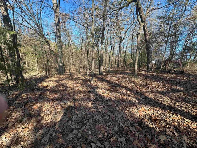 a big yard with lots of bushes