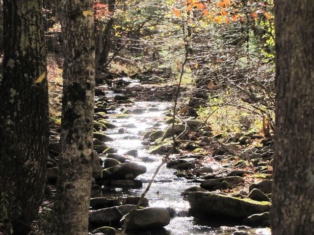 329 Trout Run Road Waiteville, WV 24984 - Photo 45 of 91 Gallery Image 45