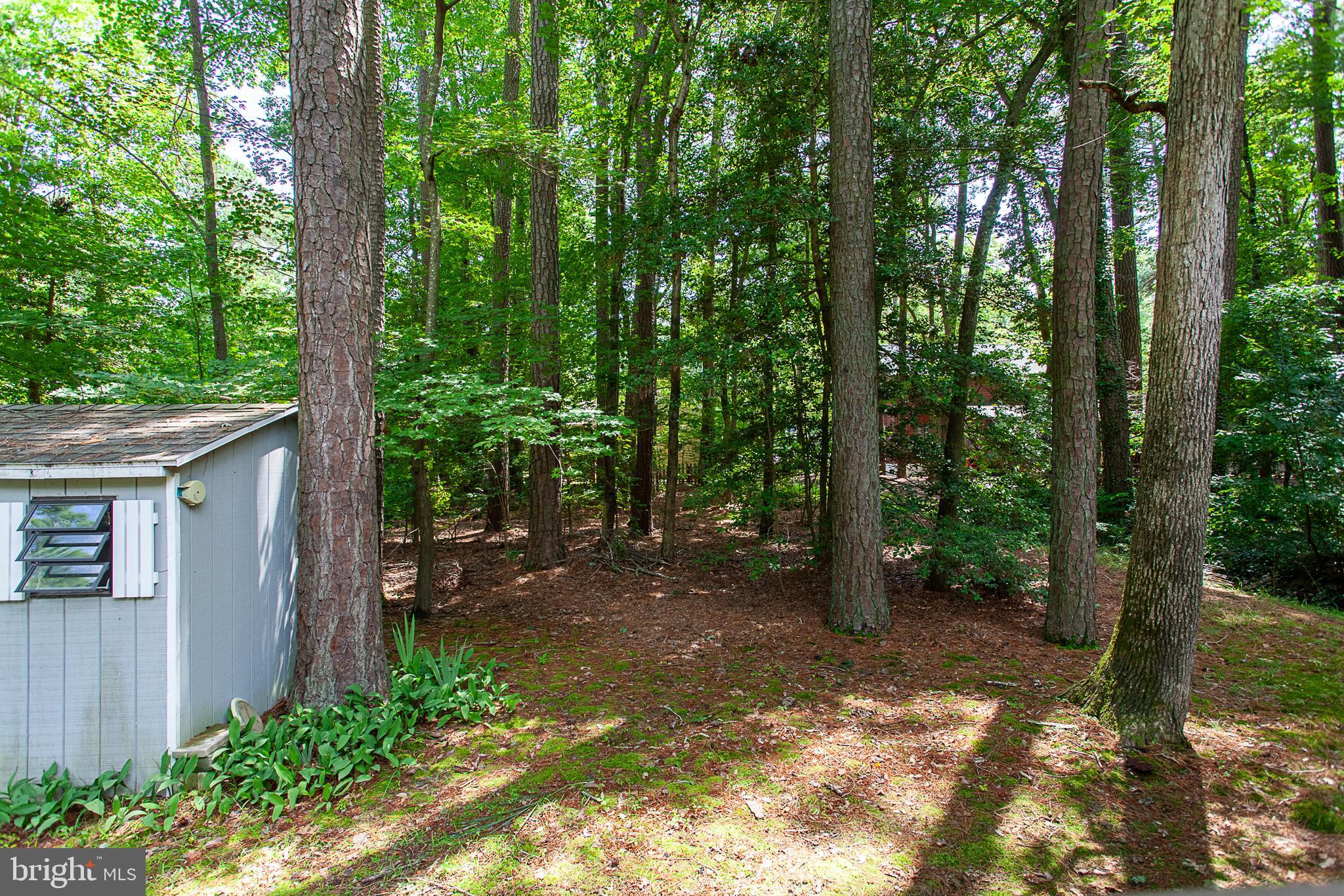 51 Moonraker Road Berlin, MD 21811 - Photo 27 of 33 Gallery Image 27
