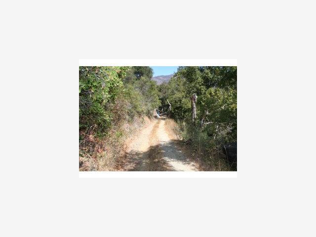 0 Clear Ridge Parcel B Big Sur, CA 93920 - Photo 2 of 9 Gallery Image 2