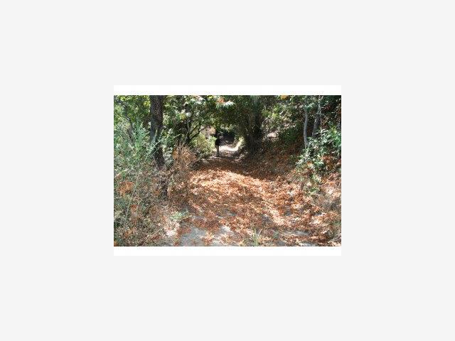 0 Clear Ridge Parcel B Big Sur, CA 93920 - Photo 3 of 9 Gallery Image 3