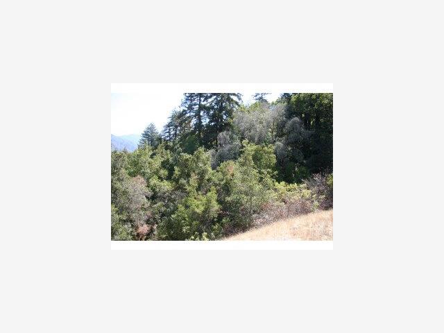 0 Clear Ridge Parcel B Big Sur, CA 93920 - Photo 6 of 9 Gallery Image 6