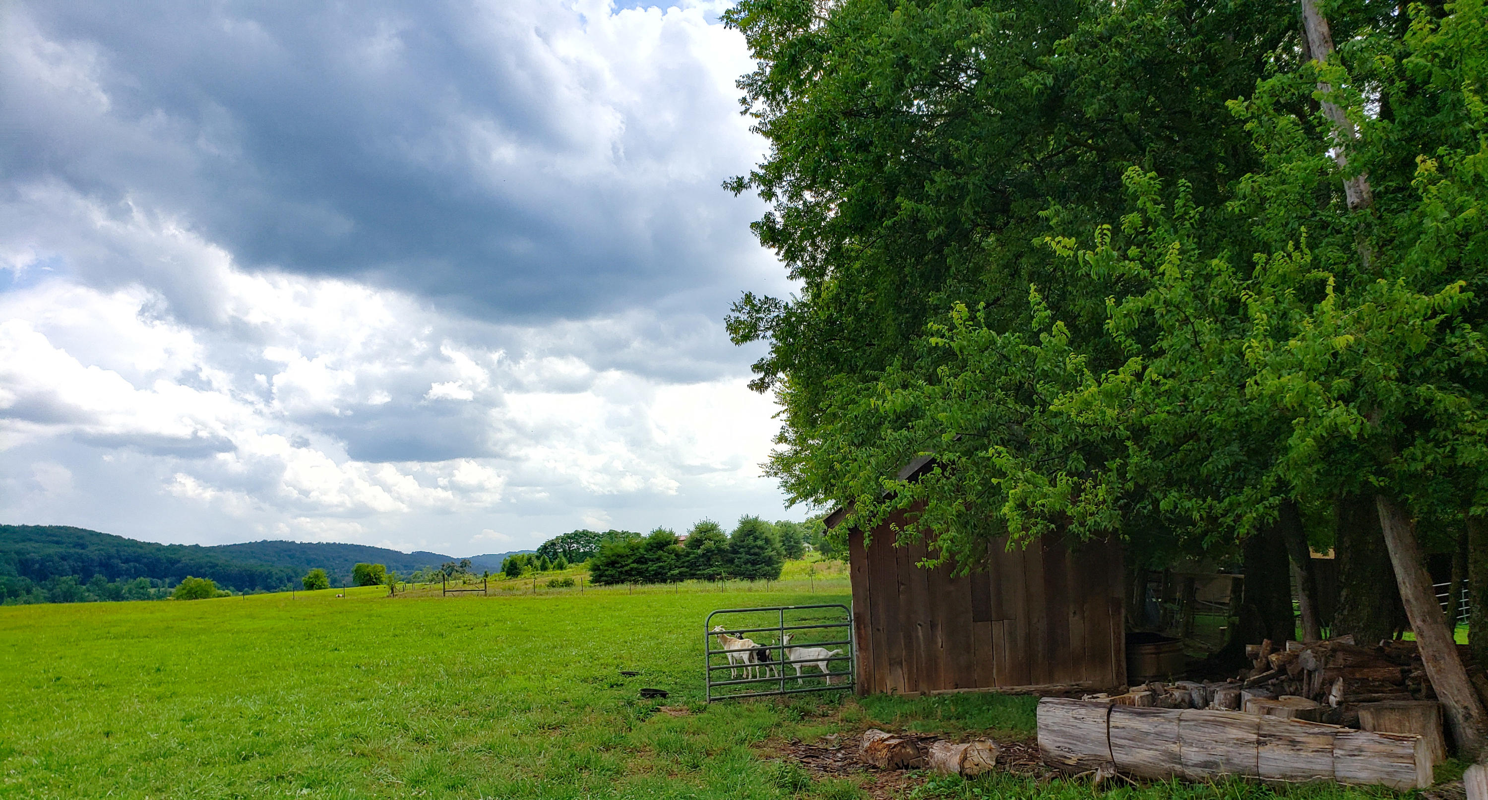 2135 Stockton Valley Road Philadelphia, TN 37846 - Photo 14 of 37 PSX_20200731_203834
