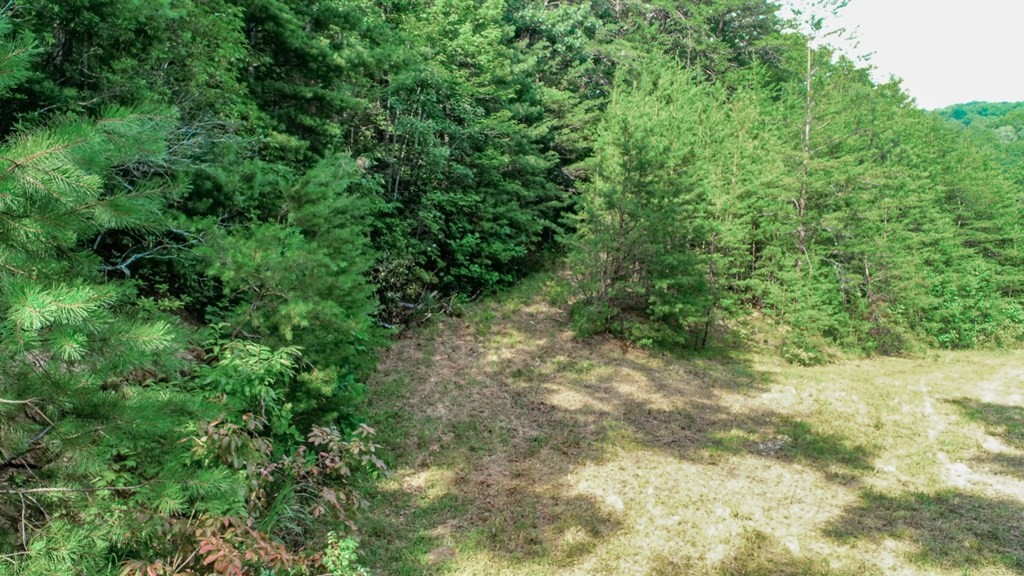 1634 Green Corner Road Hartford, TN 37753 - Photo 20 of 40 Gallery Image 20