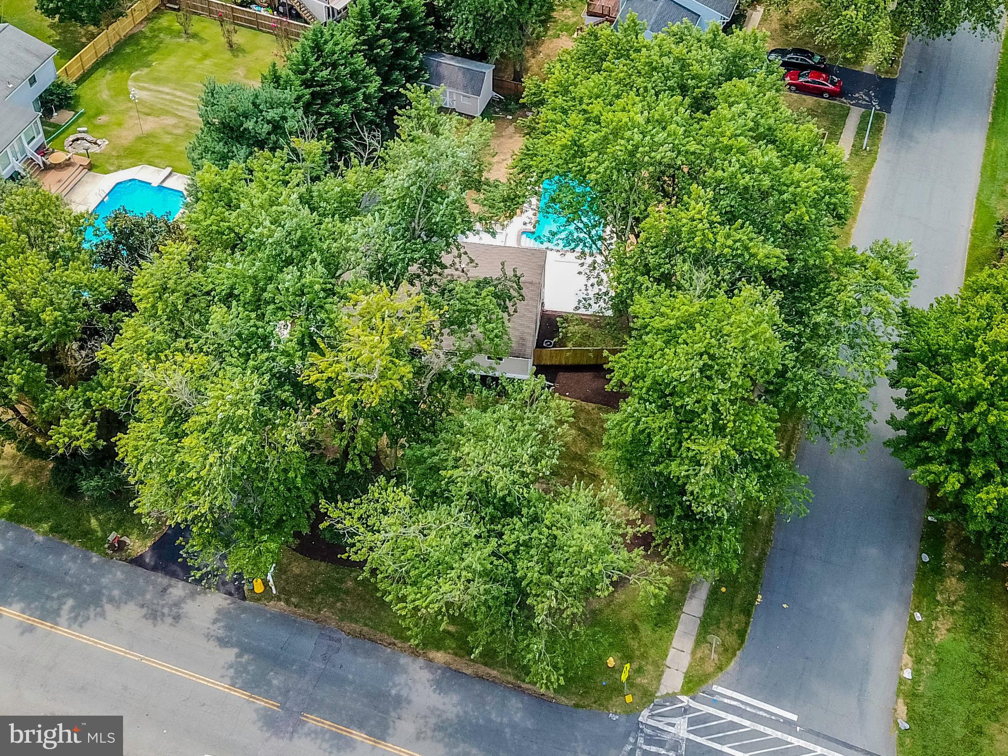 1990 Valley Road Annapolis, MD 21401 - Photo 73 of 74 Lots of trees to cut those summer A/C bills