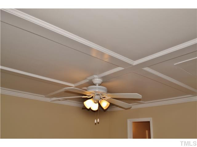 2462 White Memorial Church Road Willow Spring, NC 27592 - Photo 15 of 25 Coffered-style master ceiling!