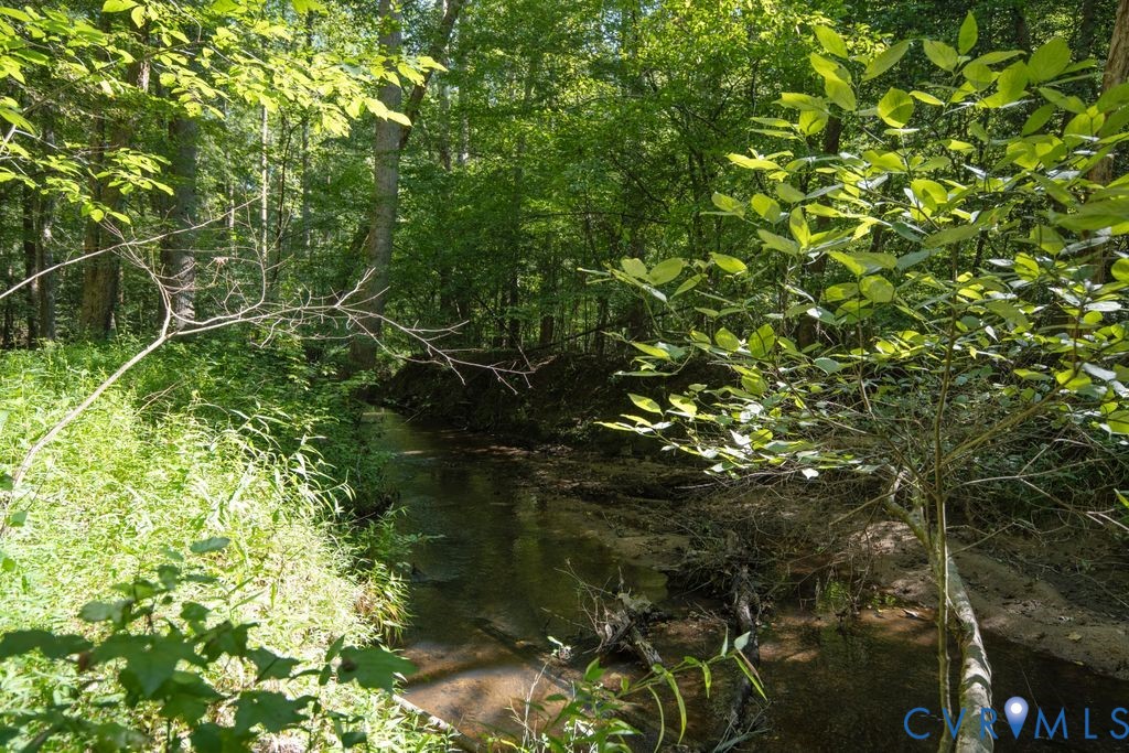 2900 Pleasantwood Road Powhatan, VA 23139 - Photo 60 of 76 Jones Creek