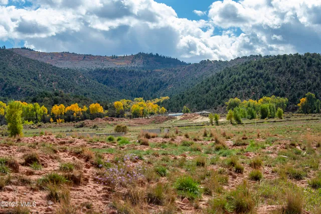 a view of a yard with an outdoor space
