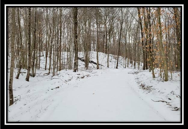 0 Number 12 Hollow Road Wellston, OH 45692 - Photo 22 of 45 image022