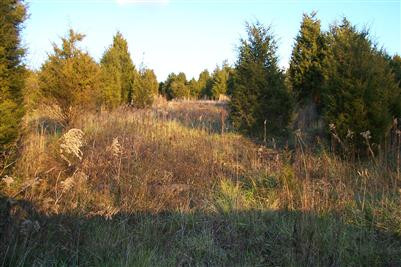 0 Hoophole Road Lawrenceburg, KY 40342 - Photo 3 of 8 Photo 3