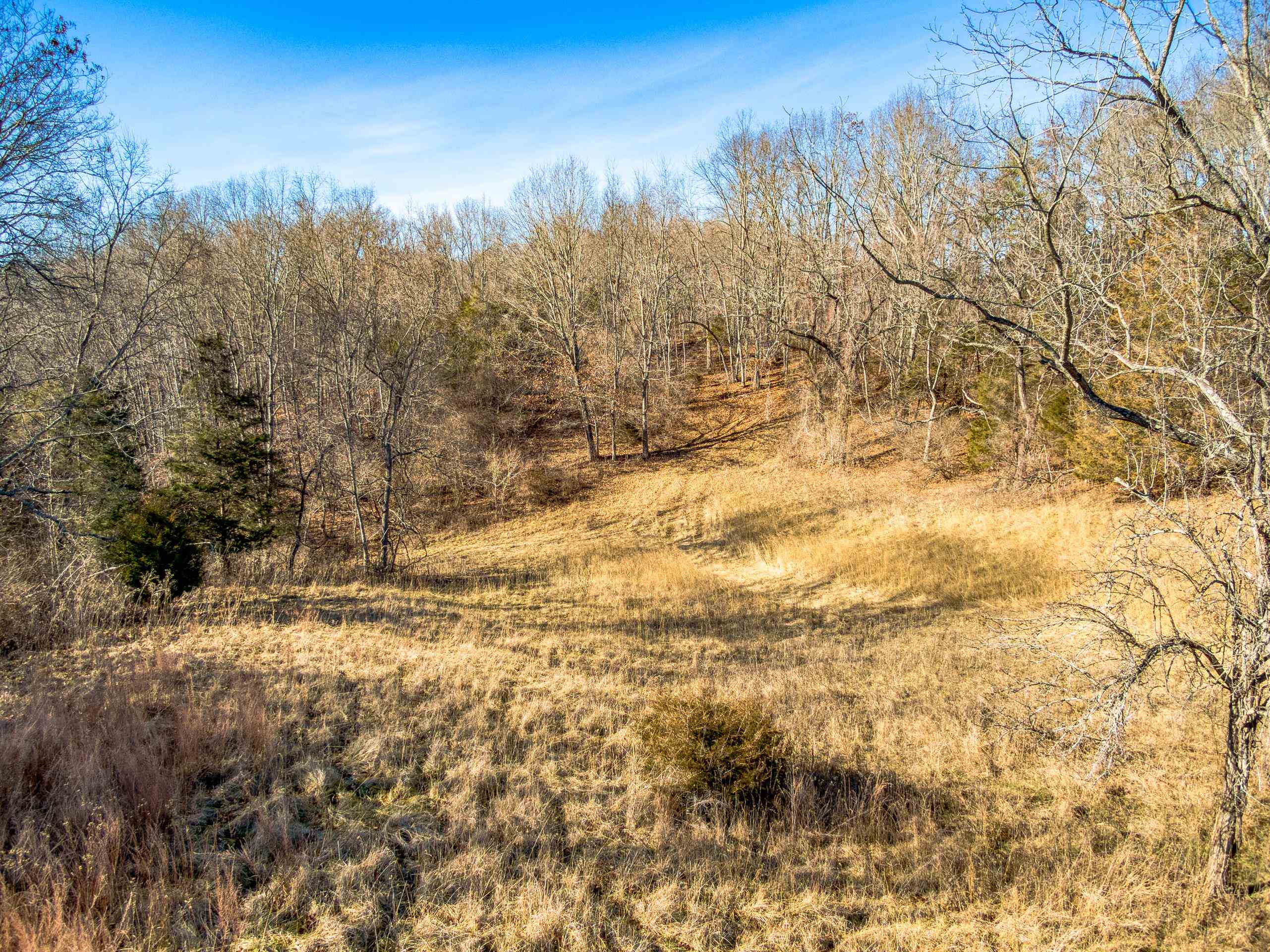 Tbd Dry Valley Road Radford, VA 24141 - Photo 29 of 29 Gallery Image 29