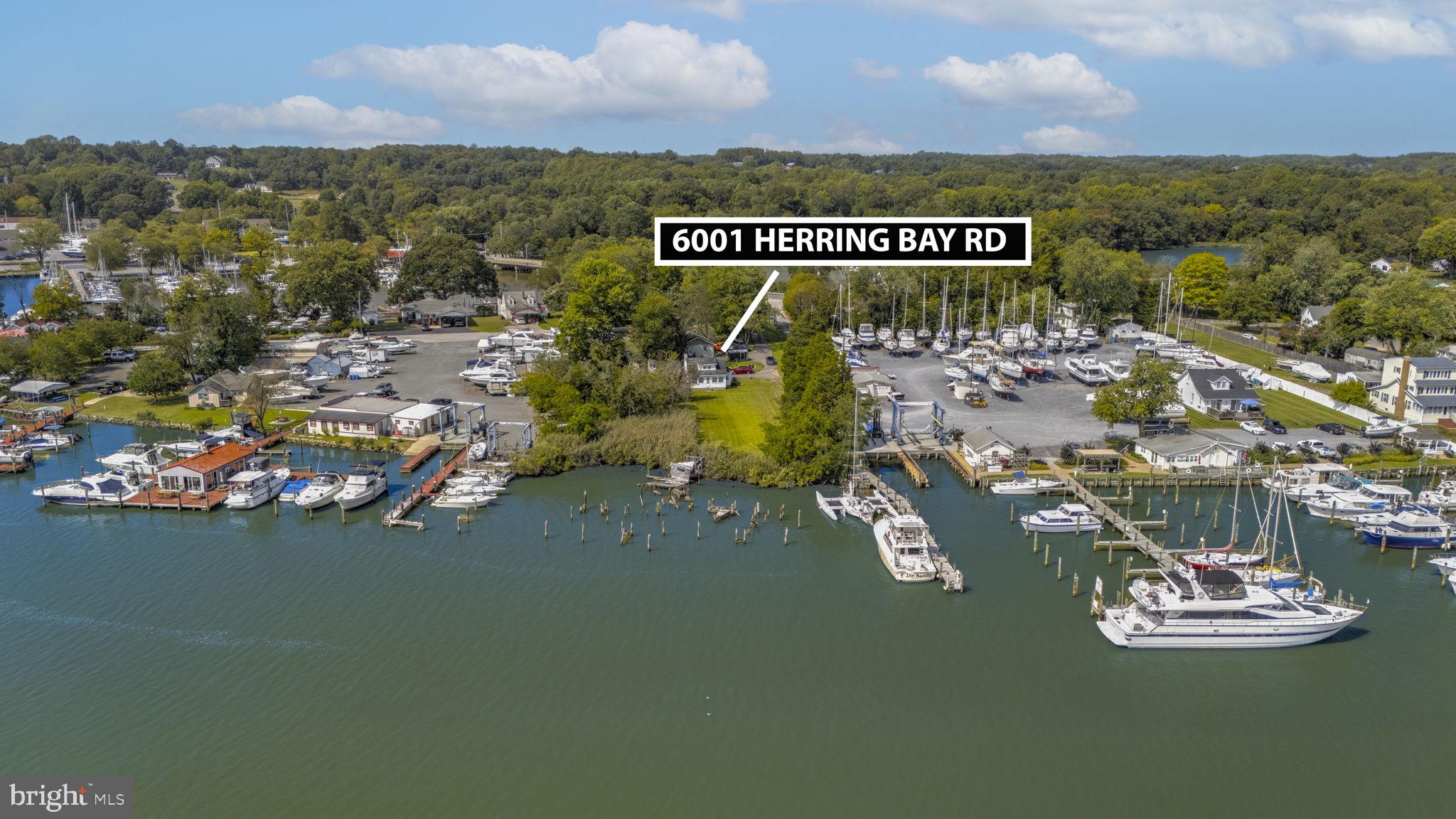 6001 Herring Bay Road Deale, MD 20751 - Photo 1 of 25 Welcome to 6001 Herring Bay Rd.