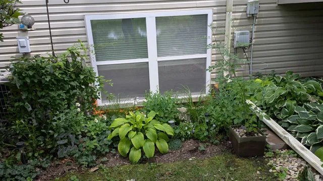 a backyard of a house with lots of green space