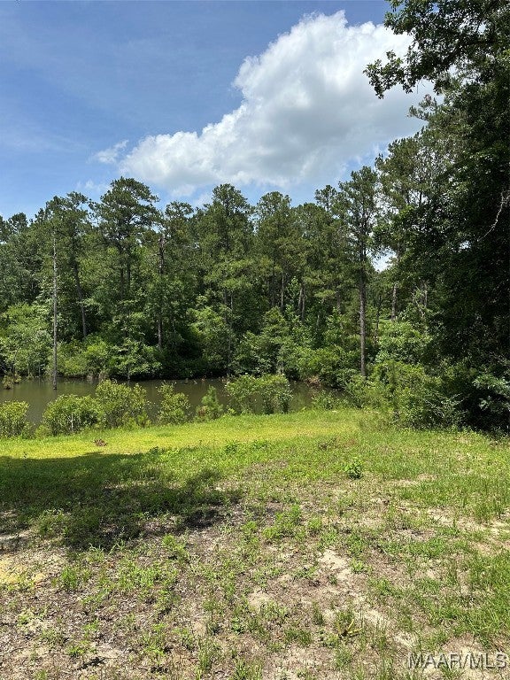 29600 Mitchell Road Opp, AL 36467 - Photo 19 of 24 Gallery Image 19