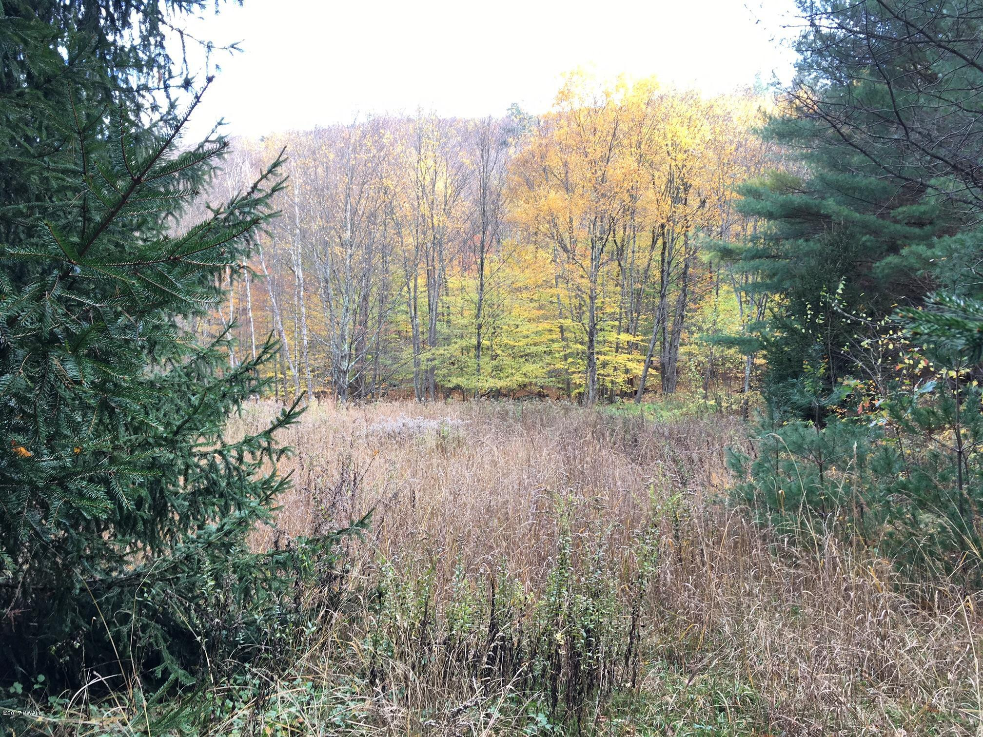 896 Peters Road Hancock, NY 13783 - Photo 4 of 11