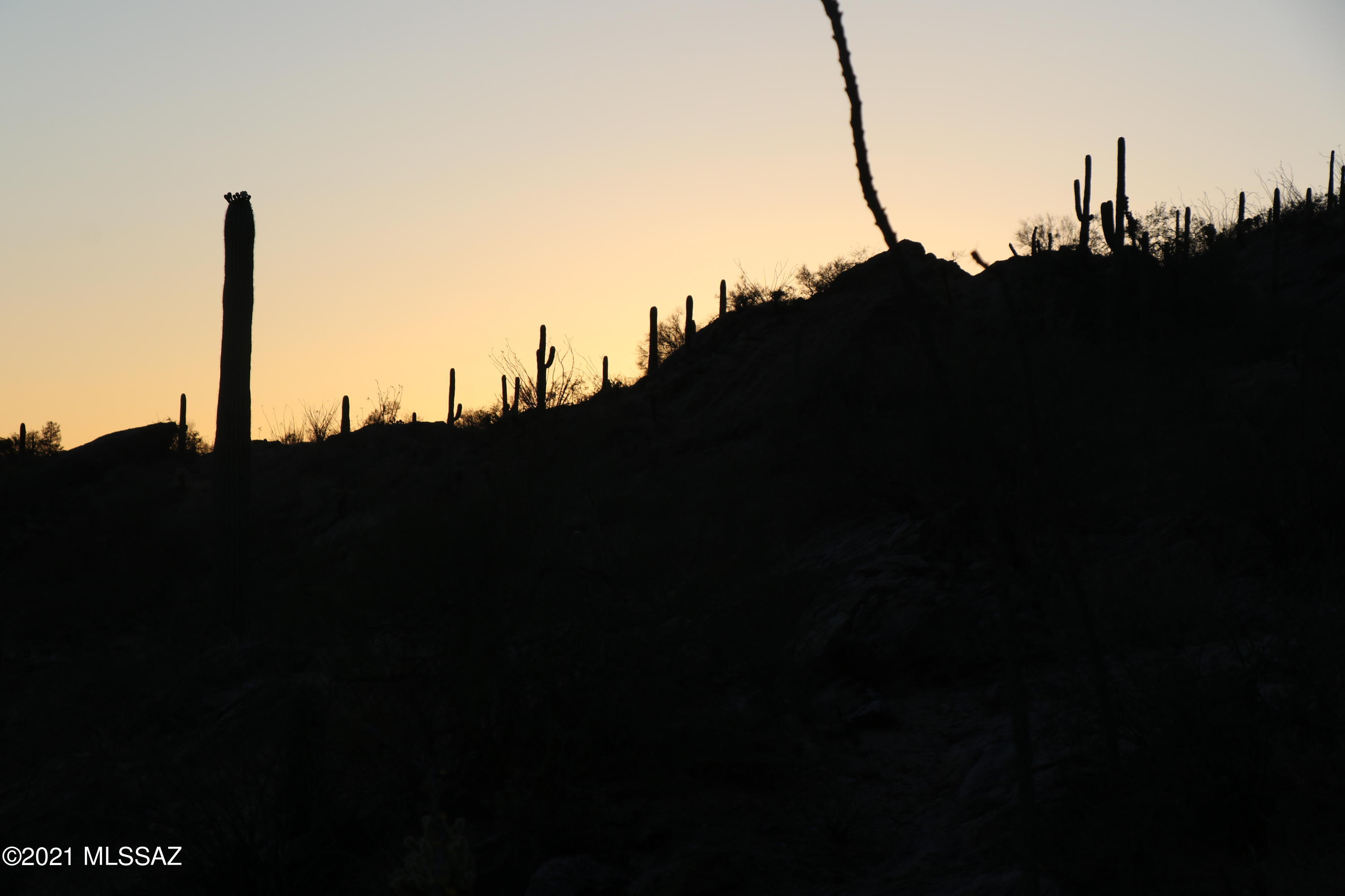 4501 East Ina Road Tucson, AZ 85718 - Photo 20 of 21 Gallery Image 20