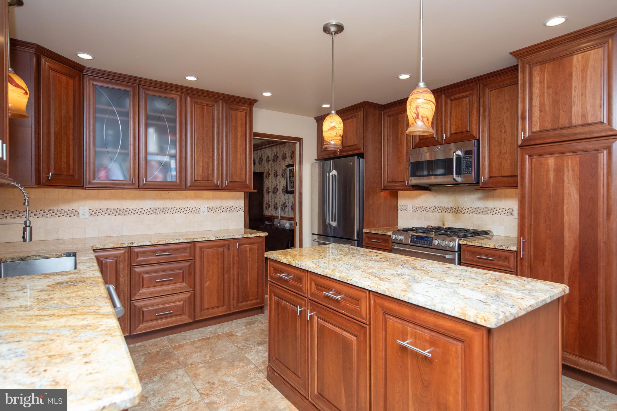 161 Ridgeview Drive Pottstown, PA 19465 - Photo 16 of 62 Gourmet kitchen