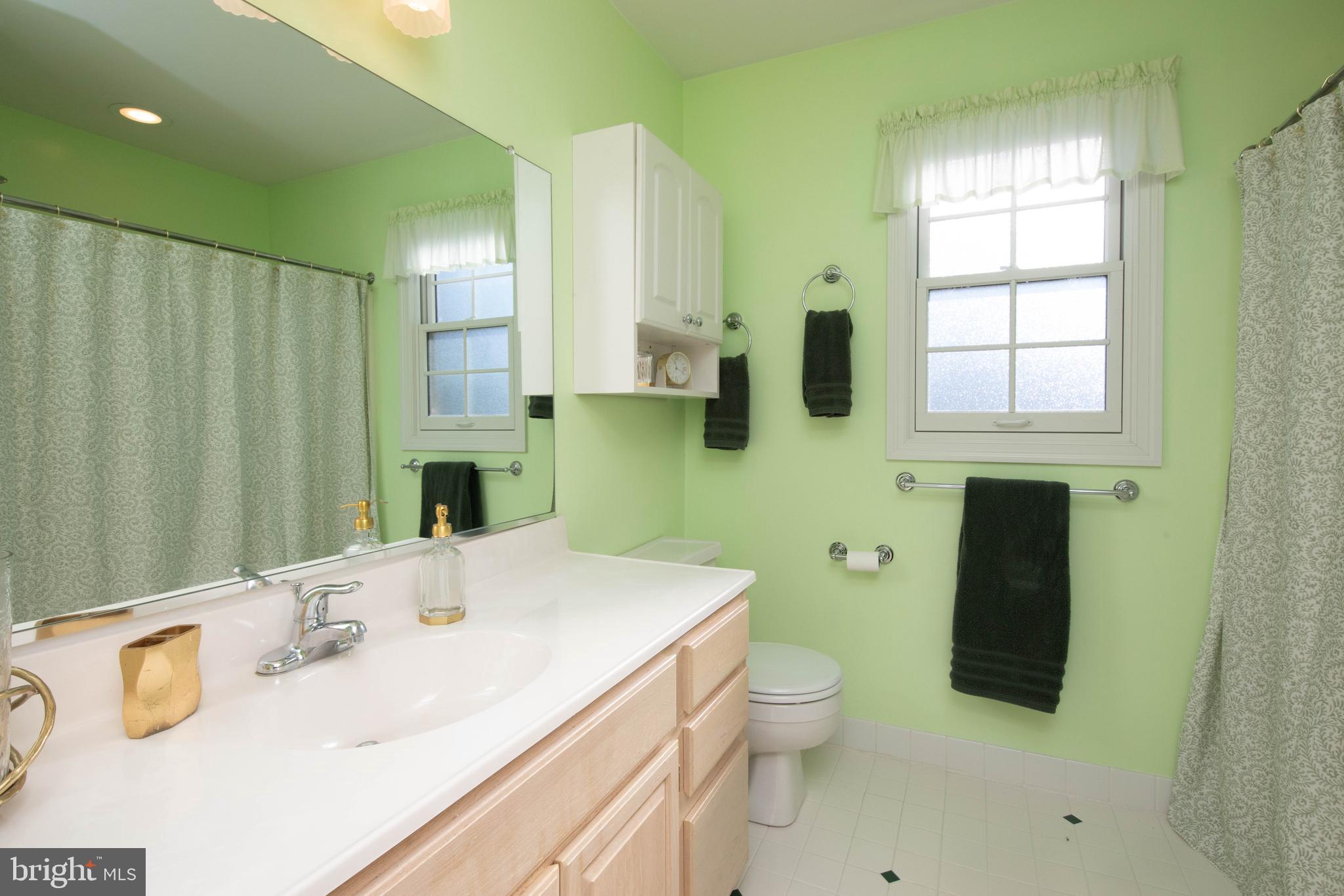 161 Ridgeview Drive Pottstown, PA 19465 - Photo 48 of 62 Second Floor full bath