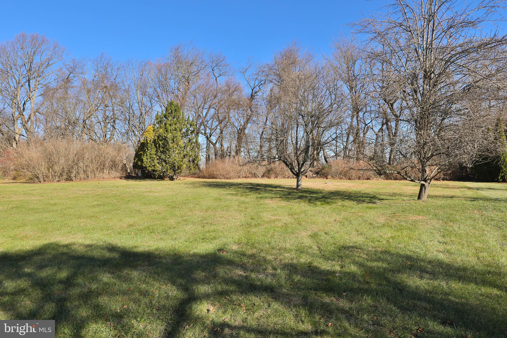 161 Ridgeview Drive Pottstown, PA 19465 - Photo 54 of 62 Mature rear yard