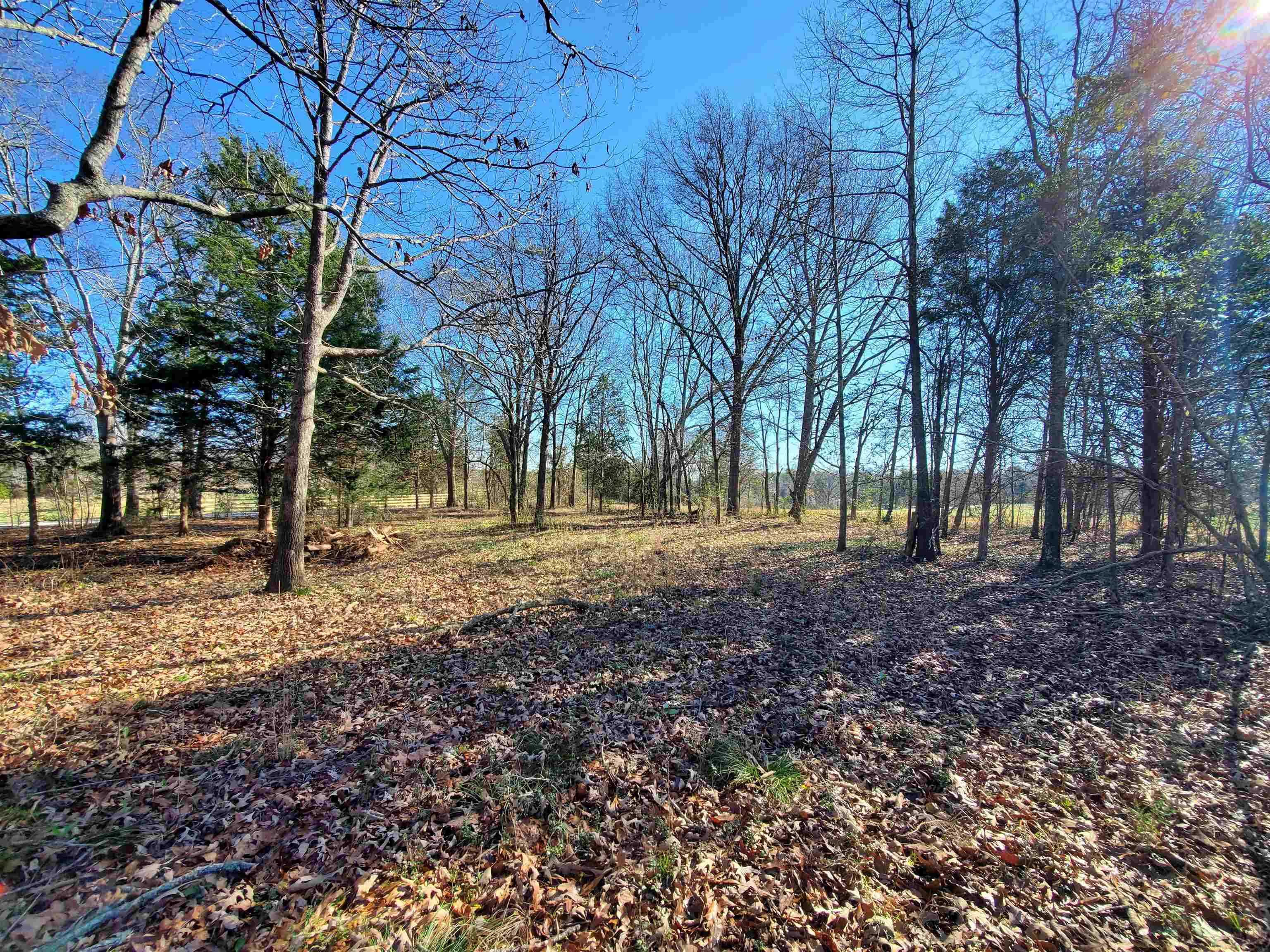 Lot 2 Ritchie Road Fountain Inn, SC 29644 - Photo 16 of 30